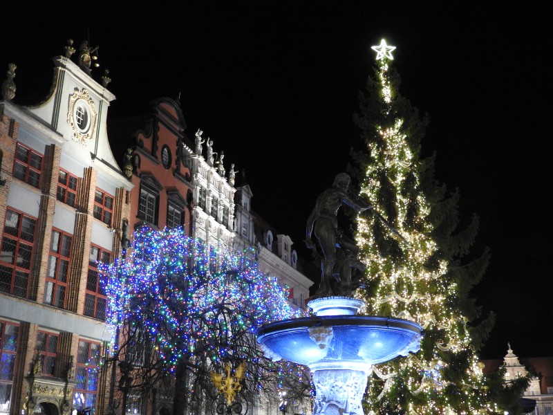 30 Dlugi Targ Fontana di Nettuno